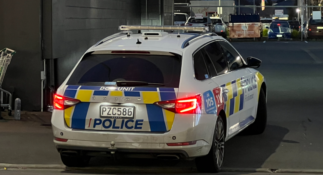 Youths arrested following string of burglaries in Pegasus