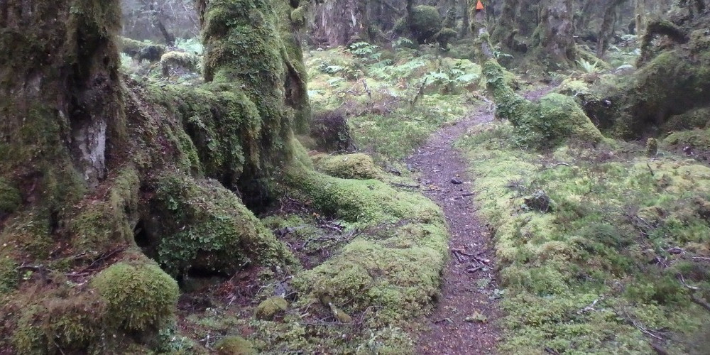 LandSAR deployed for two missing hunters