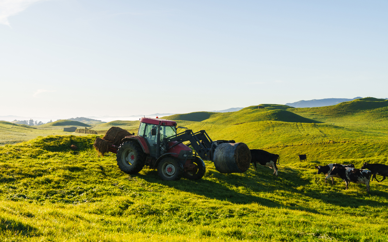 Kaikōura dairy farmer fined $35,000 over animal tracking failures
