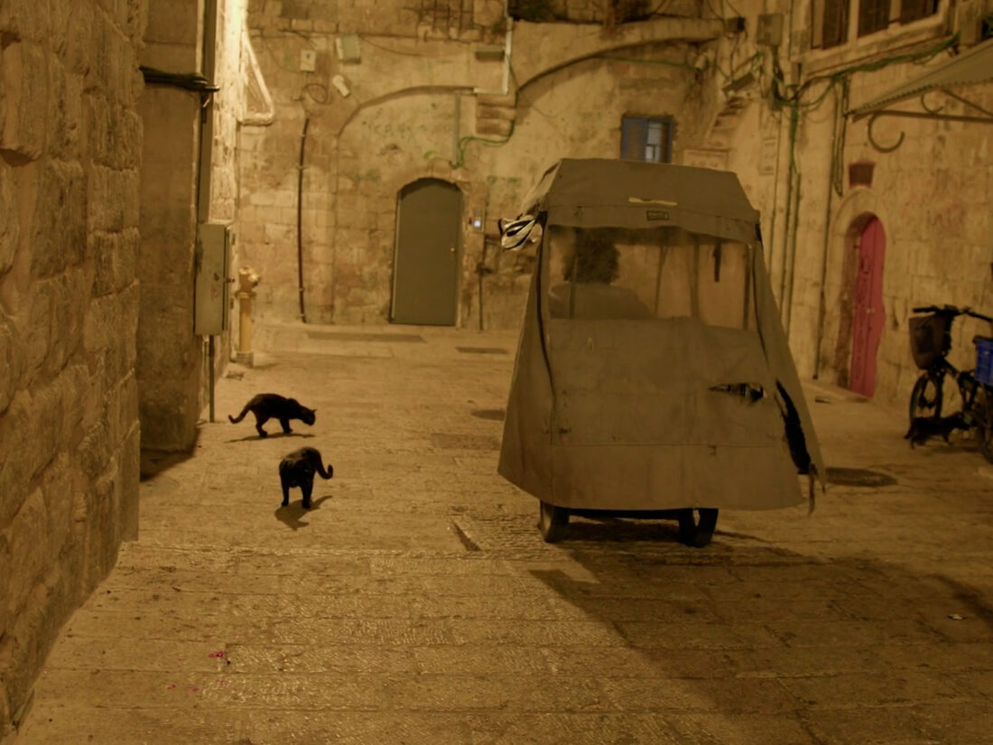 Screenshot from 'Cats in Conflict'