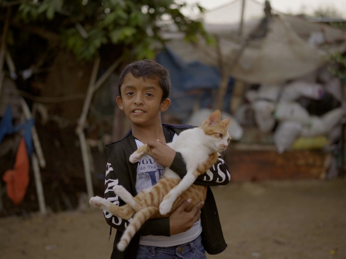 Screenshot from 'Cats in Conflict'