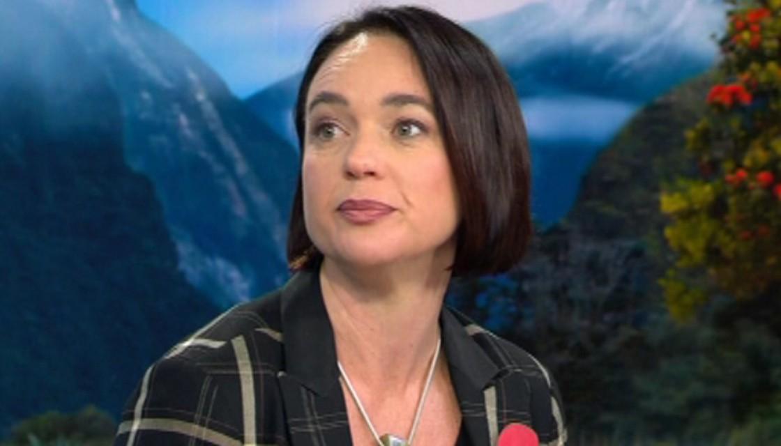 Labour to hold Christchurch public meeting on military-style semi-automatic weapons