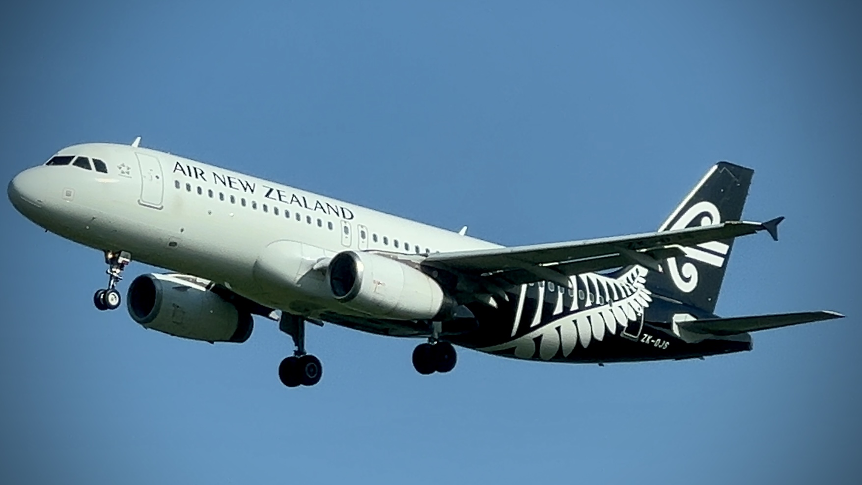 Fuel costs force Air New Zealand to cut flights in May and June