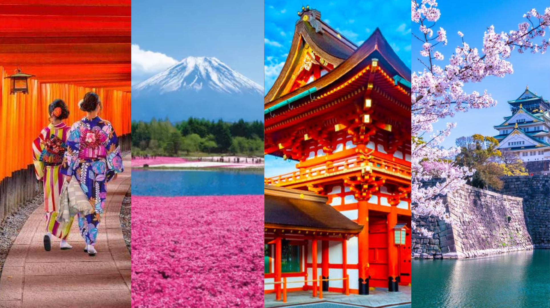 Explore Japan with World Travellers’ Merivale & Rolleston hosted tour in March 2026