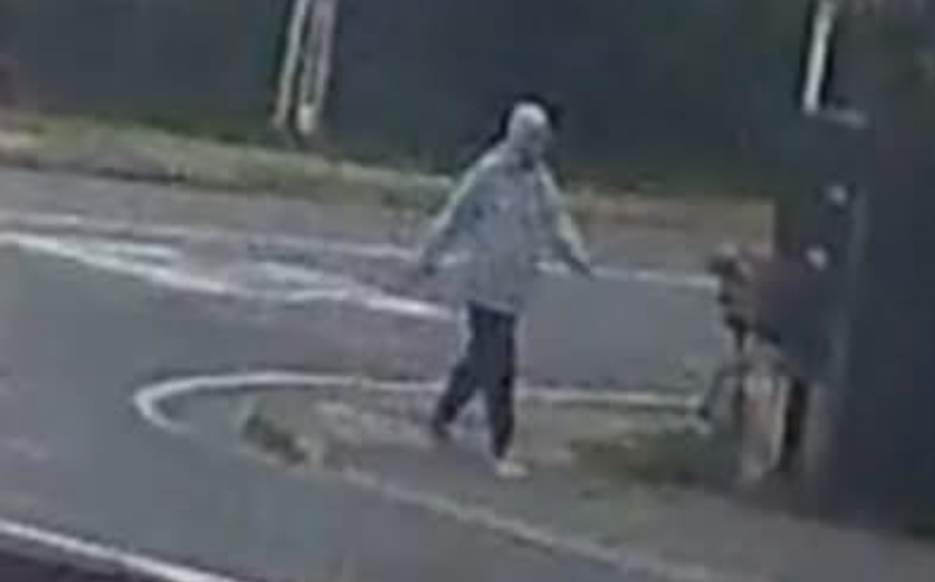 Police seek witnesses of person in Rangiora