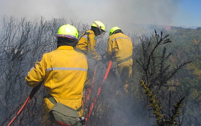 Canterbury faces heightened fire risk as summer heat intensifies