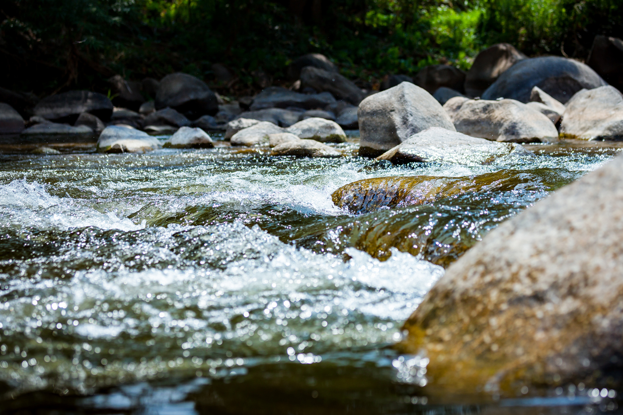 Report confirms worsening freshwater crisis, alliance candidate says