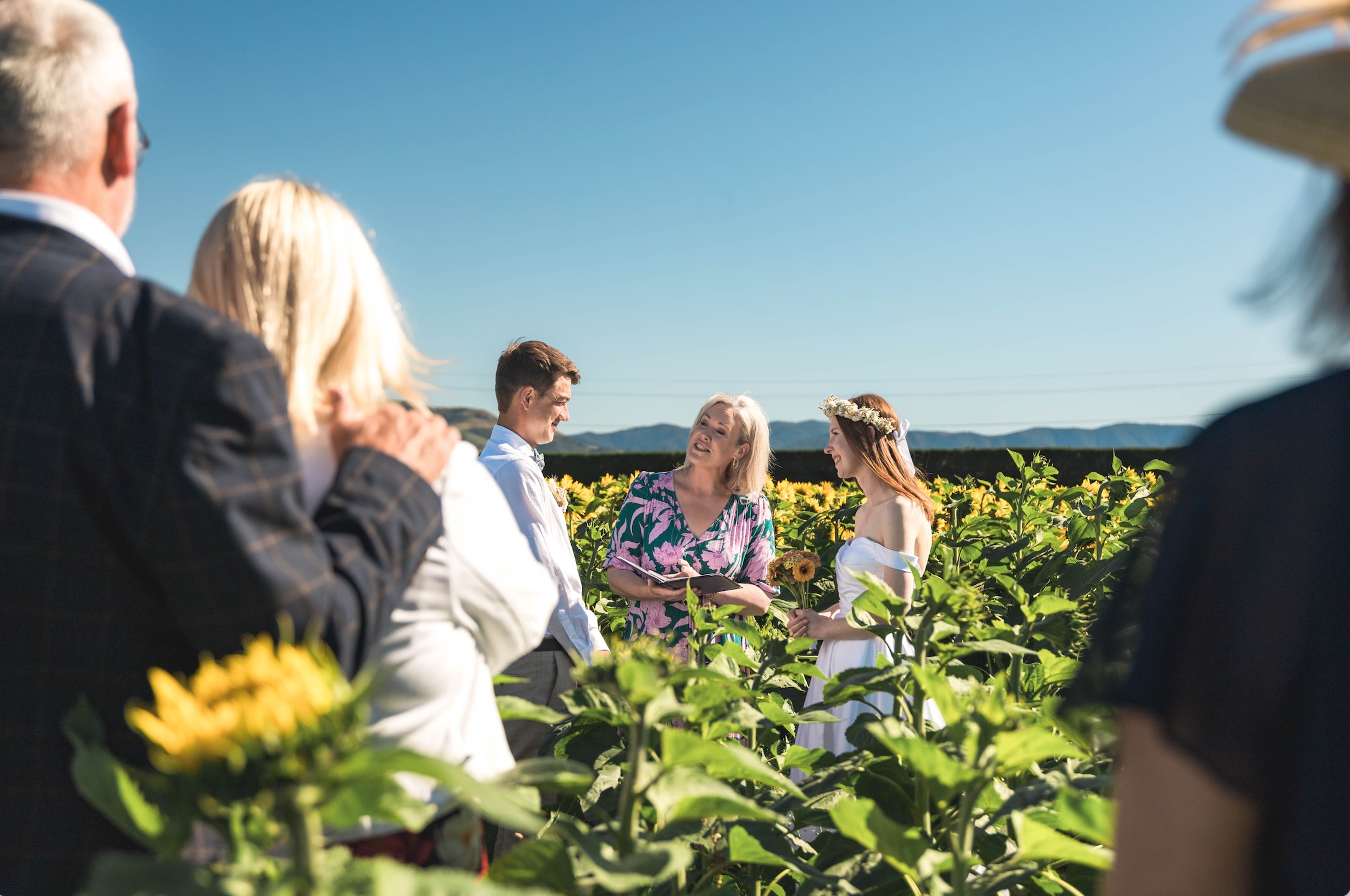 Canterbury sunflower farm raising funds for charity through elopements