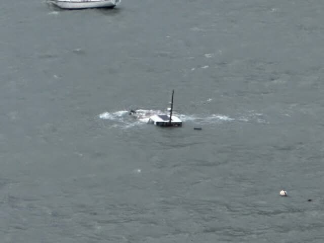Dog rescued after yacht sinks overnight in Cass Bay