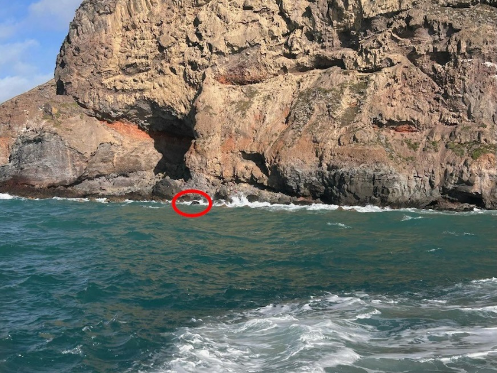 Three people rescued from rocks in rough seas at Banks Peninsula