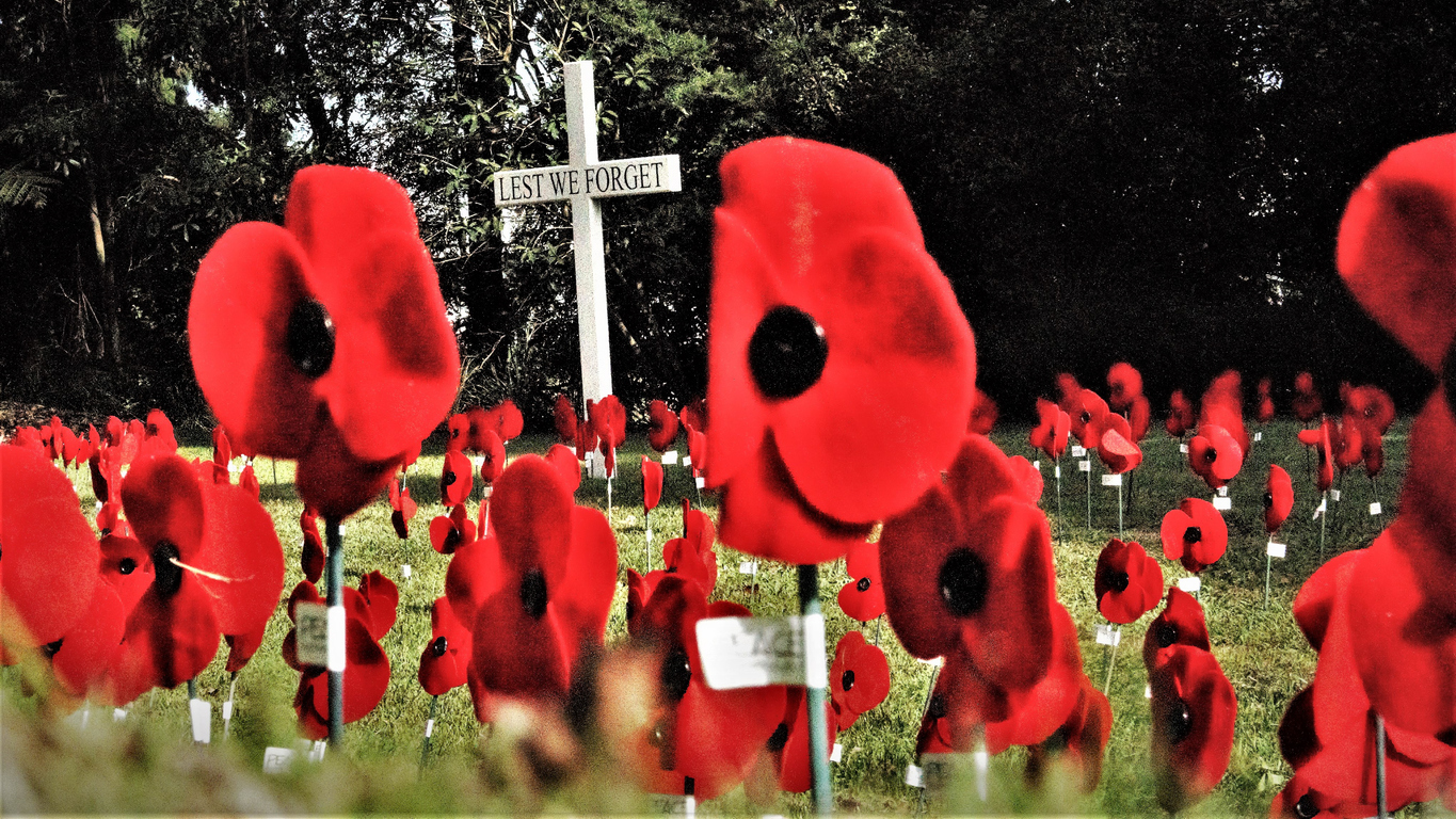 Dawn service in Cathedral Square to honour fallen soldiers on Anzac Day