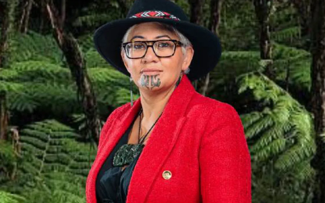 Te Pāti Māori MP Takutai Kemp dies aged 50