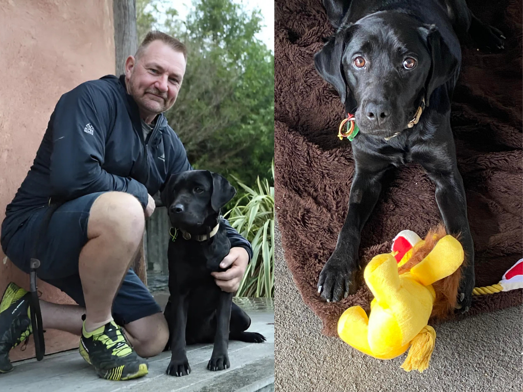 Tributes flow for Piper, the loyal search dog who reunited countless families with their lost dogs