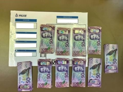 Police operation leads to major meth seizure in Christchurch and Dunedin