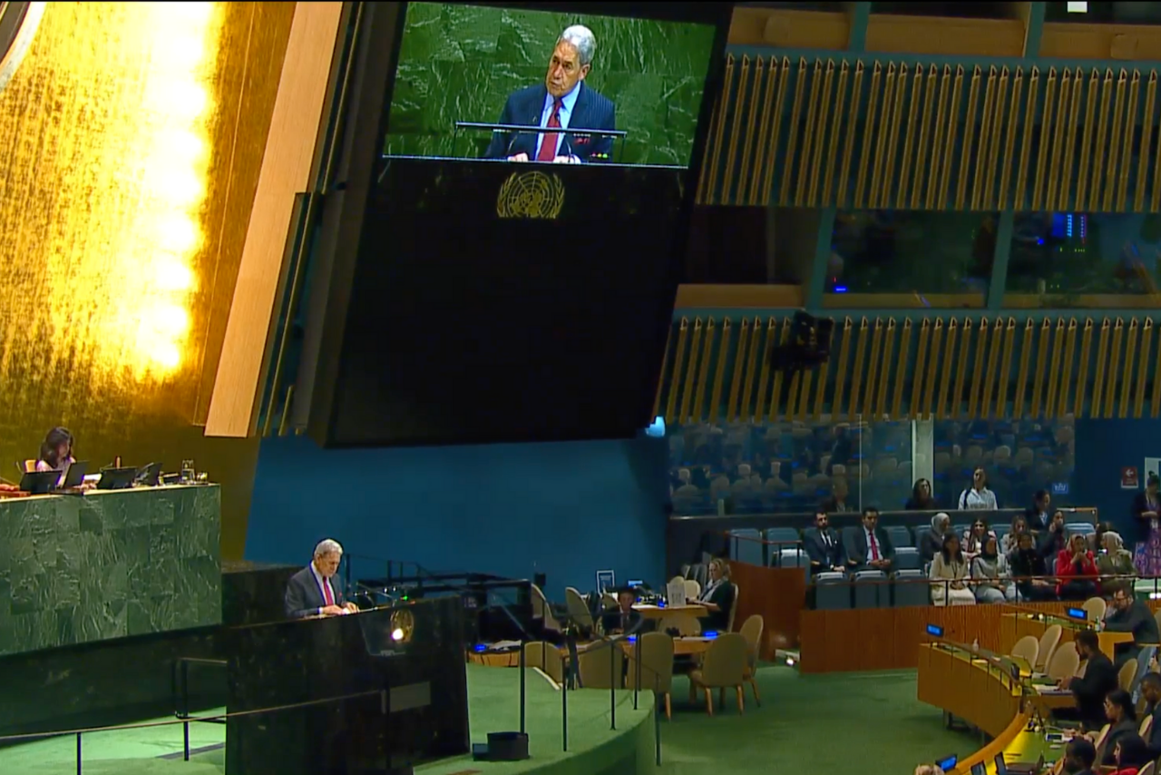 Winston Peters at United Nations 