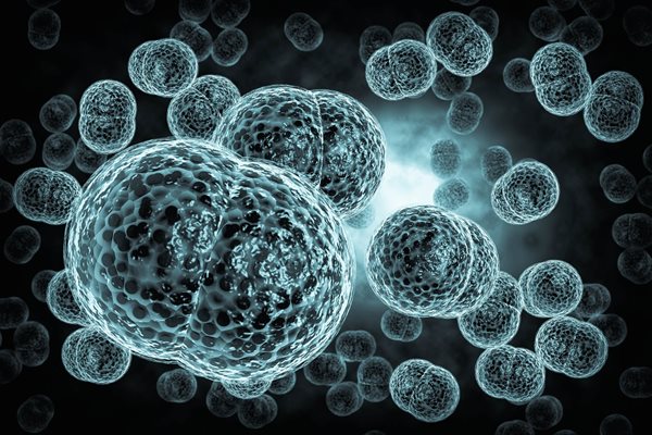 Christchurch high school student admitted to hospital with meningococcal meningitis