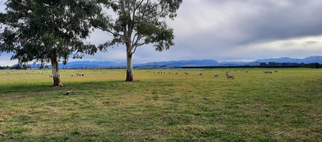 Darfield solar farm project secures consent, to create 100 jobs