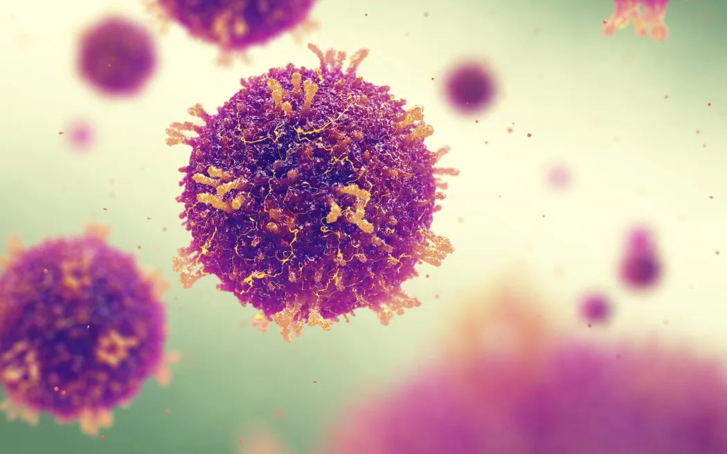Measles risk escalates nationwide after South Island case confirmed