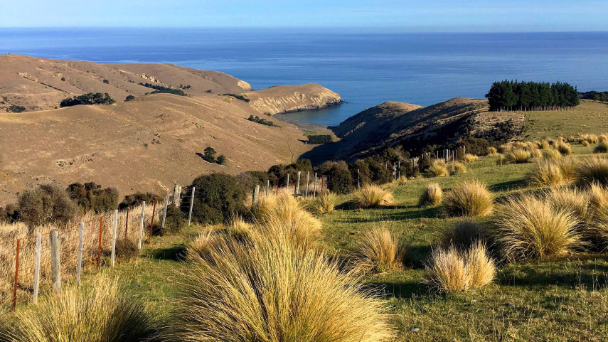 New regional park to open beside Lake Forsyth