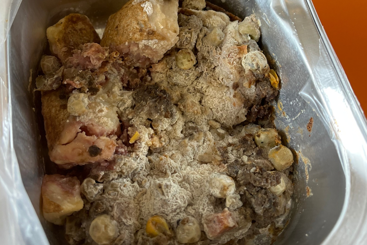 Food Safety pushes back again after principal disputed cause of mouldy lunches