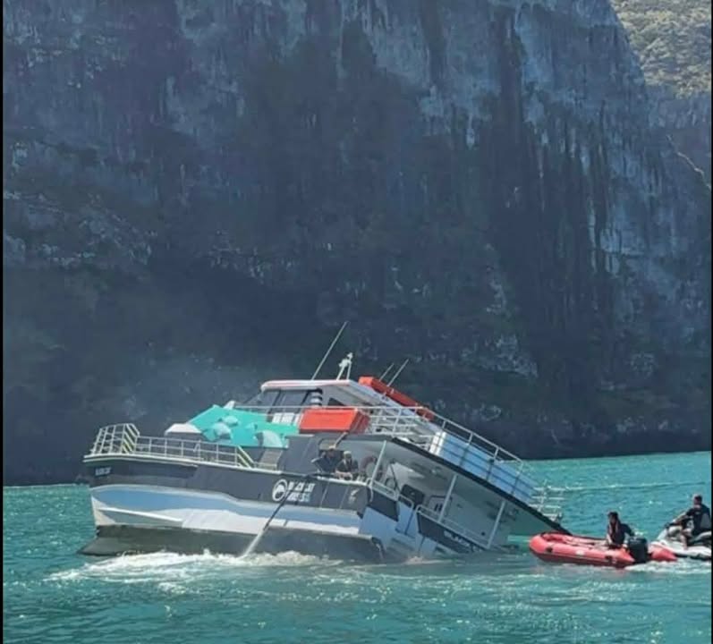 Fuel released after Black Cat vessel sustains serious damage in Akaroa