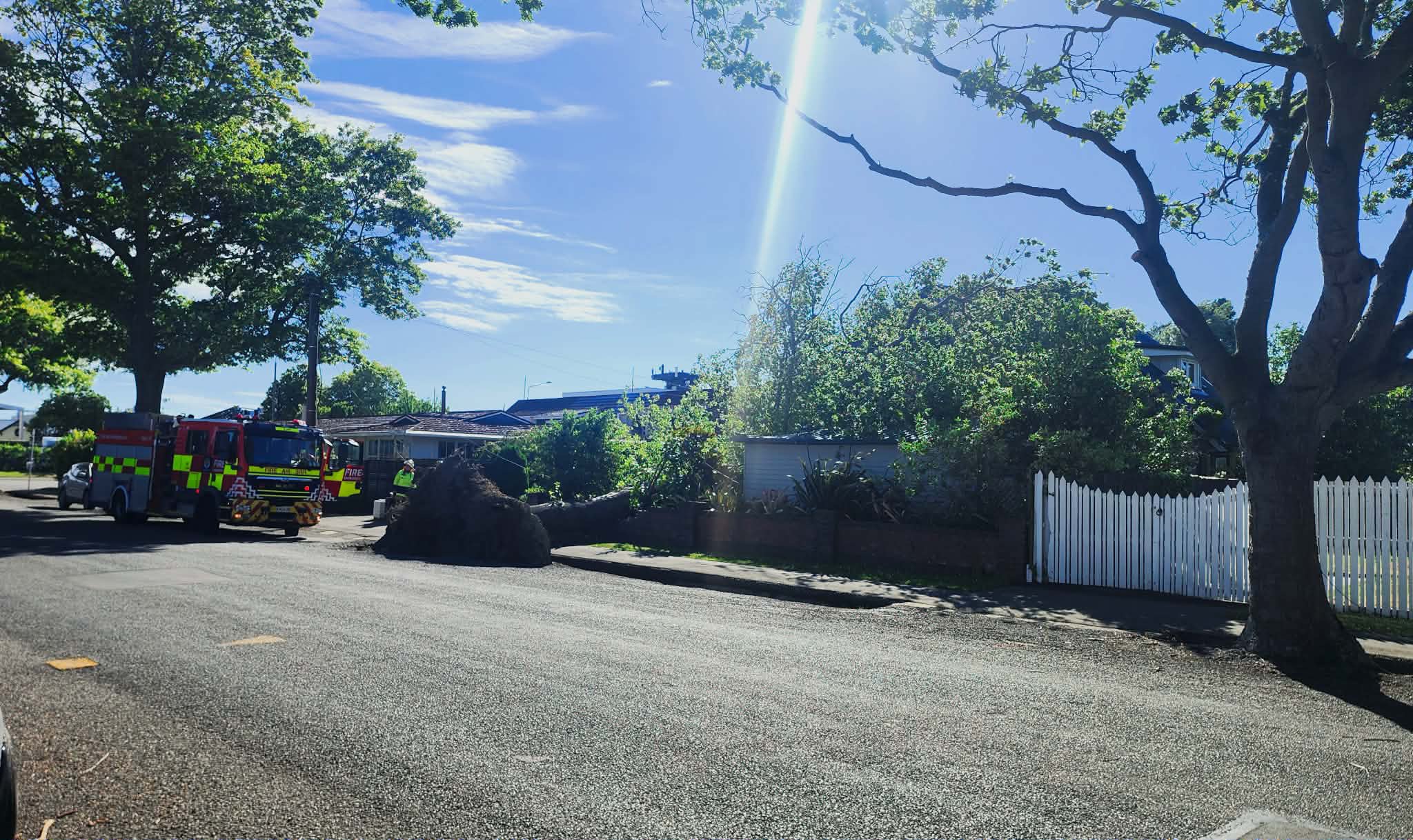 Strong winds topple tree onto Papanui home