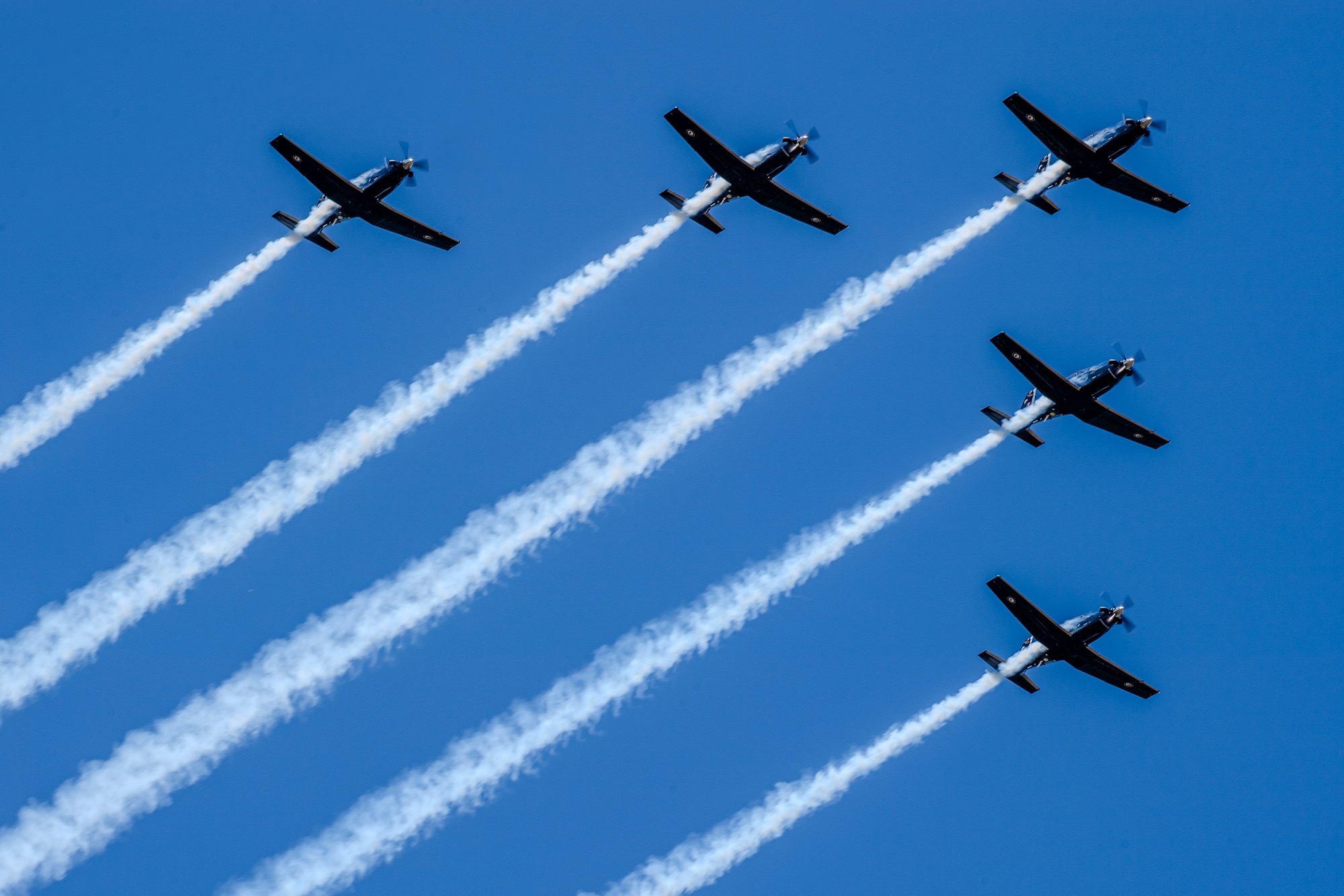 Black Falcons return to Christchurch for display season