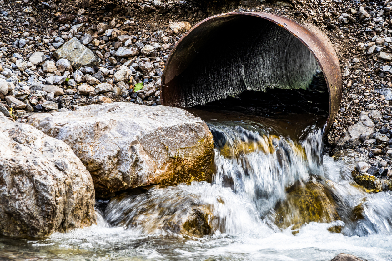 Rāpaki leaders raise alarm over sewage spills in Lyttelton Harbour