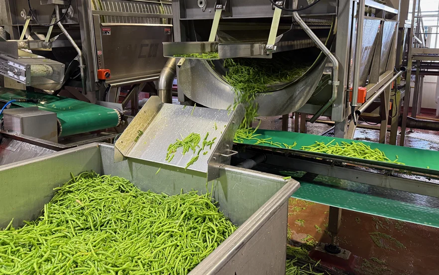 “Feels like a kick in the guts”: Christchurch Wattie’s employee after closure news