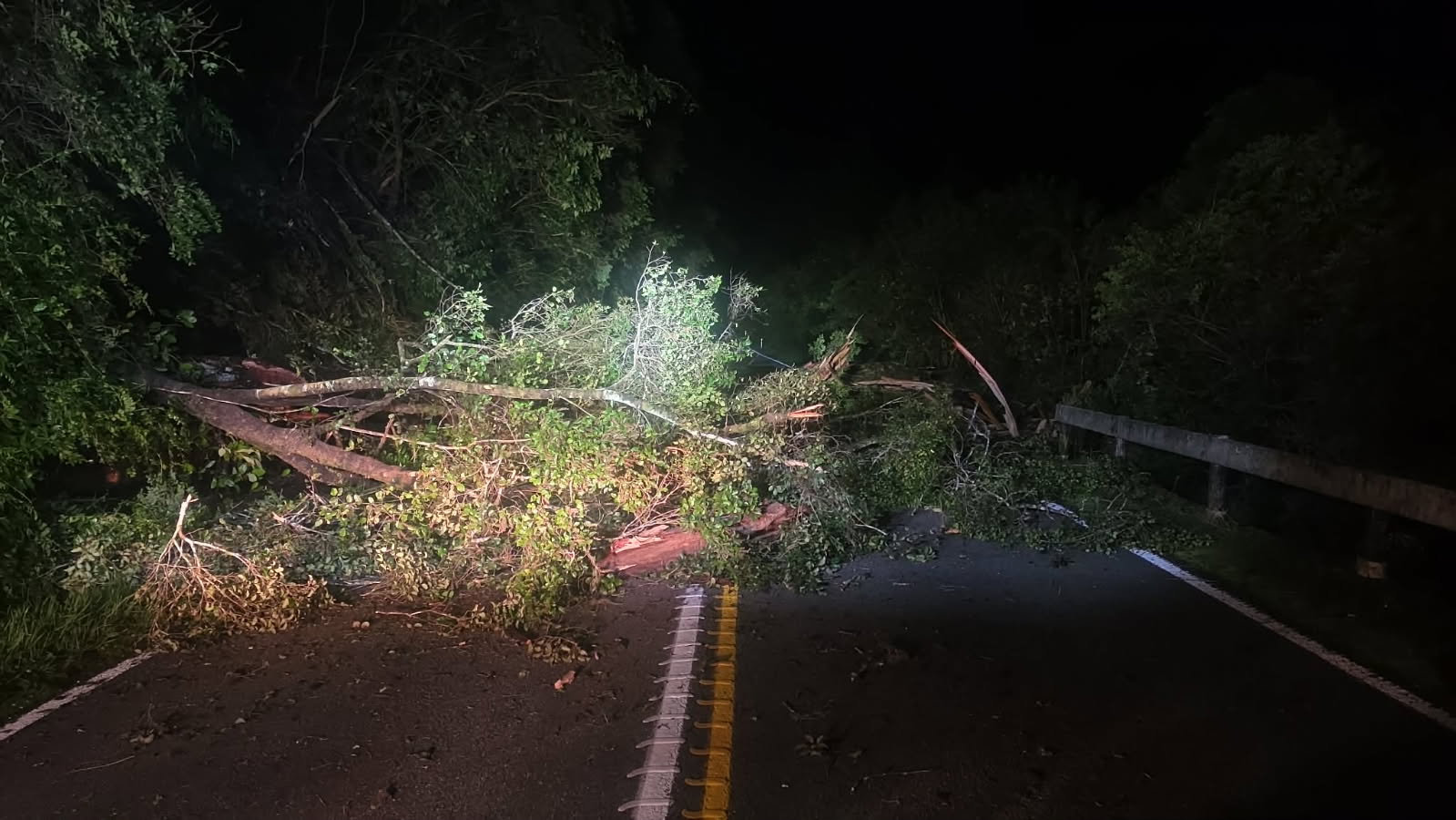 SH6 reopens after large slip on West Coast