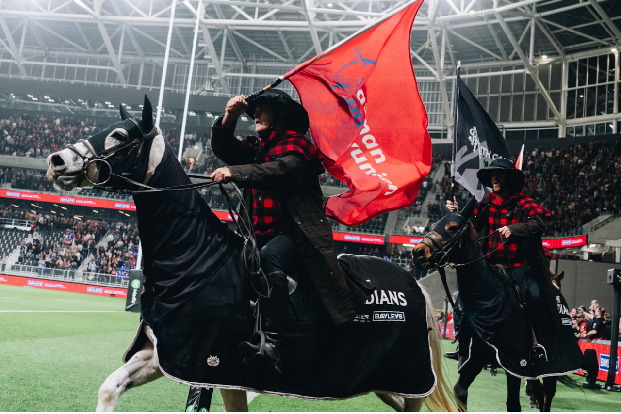 From retired to reinstated: Crusaders horses return after stunning u-turn