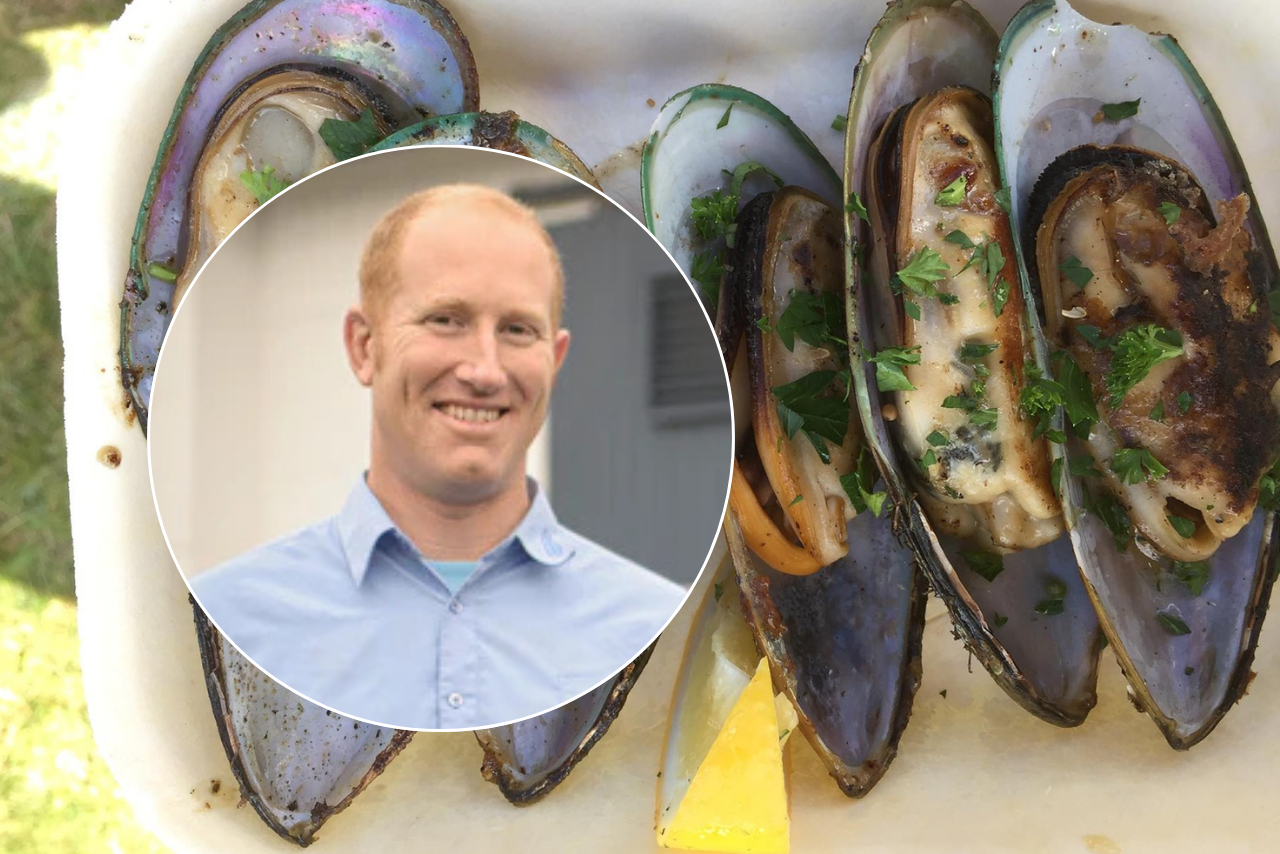 Christchurch mussel farming company fined $24,000 for illegal shellfish supply