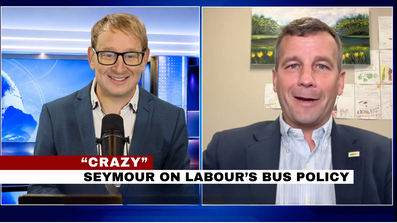 Seymour brands Labour’s public transport fare cap a crazy policy