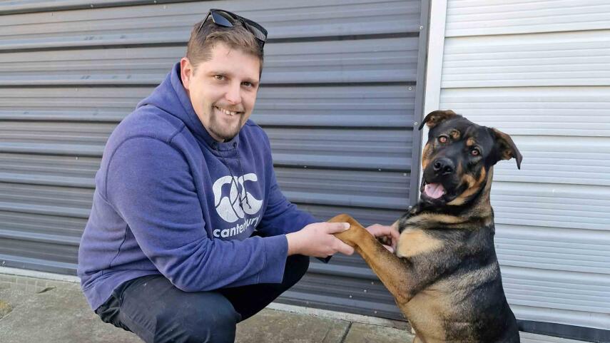 Council dog shelter finds homes for more than 100 dogs