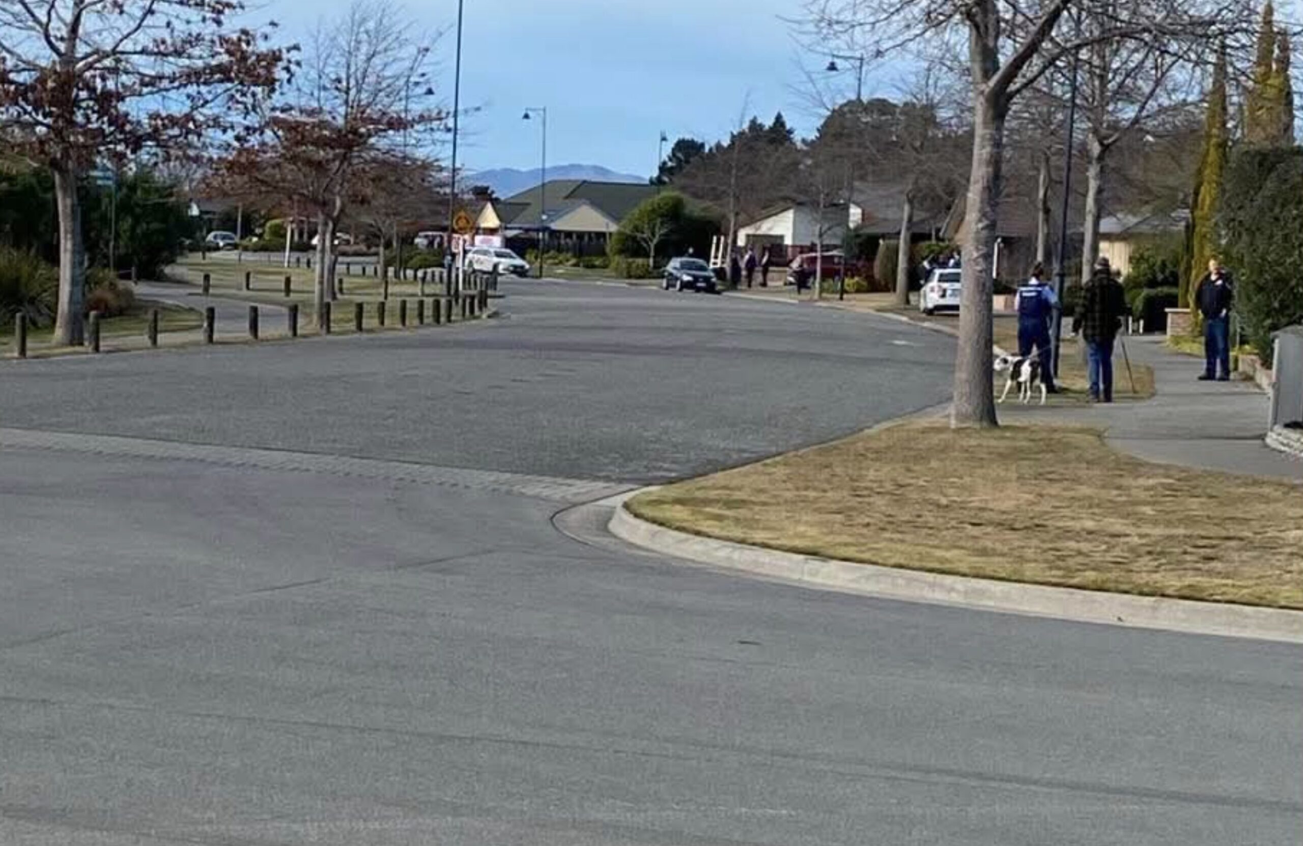 Man arrested in Parklands after armed police incident