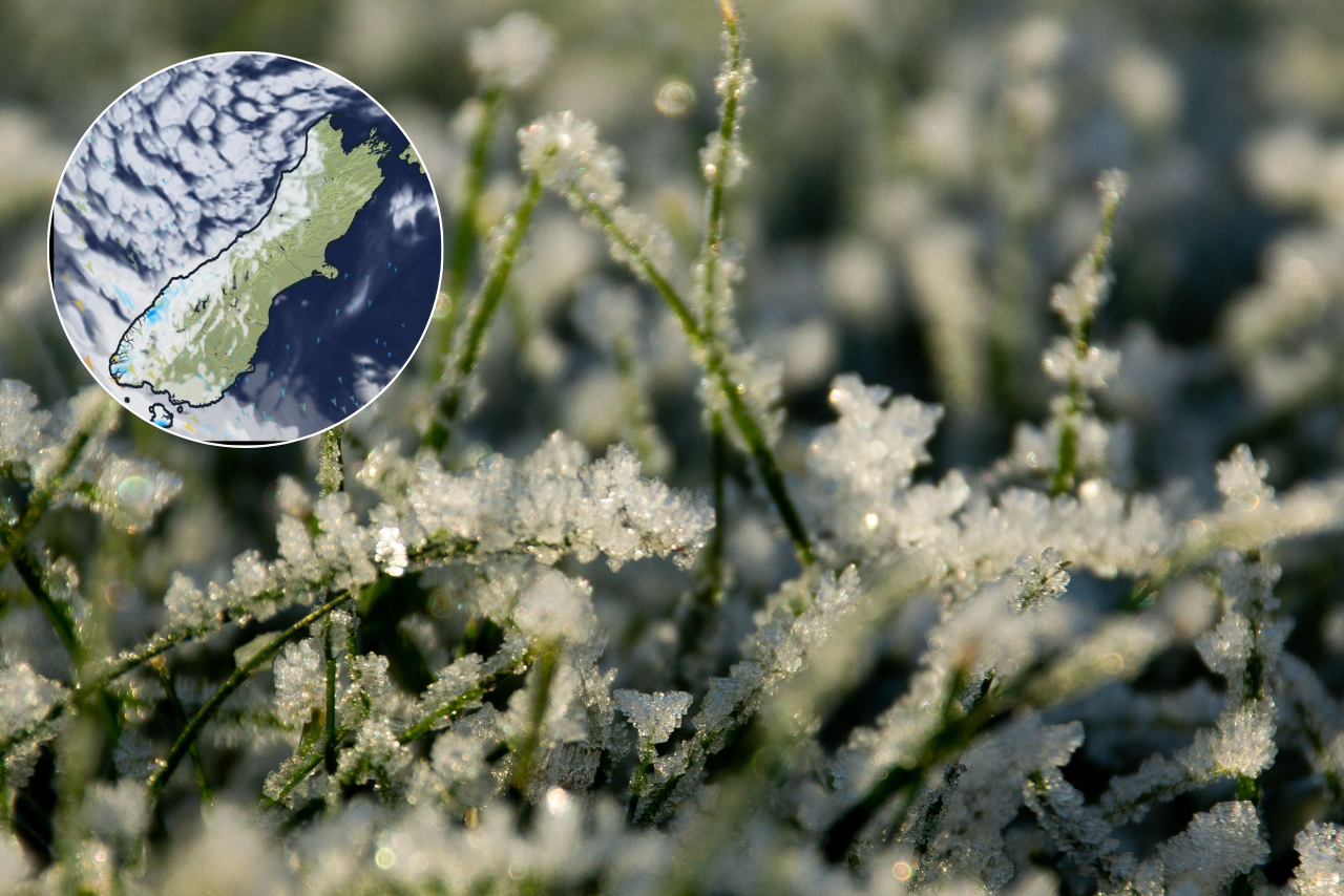 Frosty Friday before strong winds and rain hit Canterbury this weekend