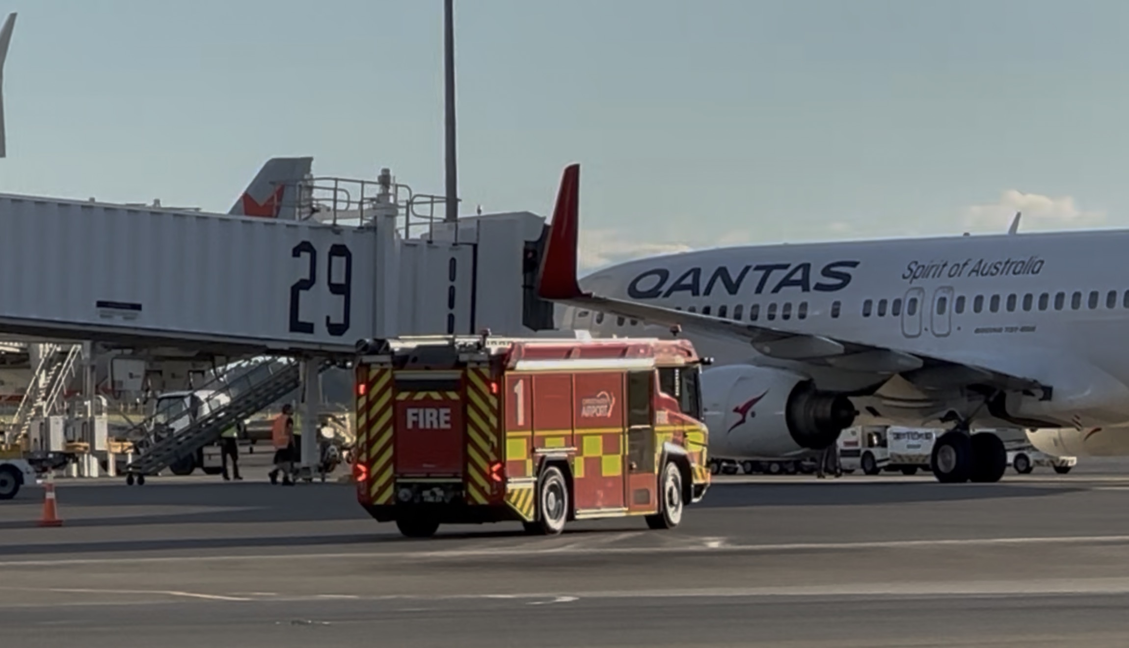 CAA confirms bird strike forced Qantas flight to divert to Christchurch