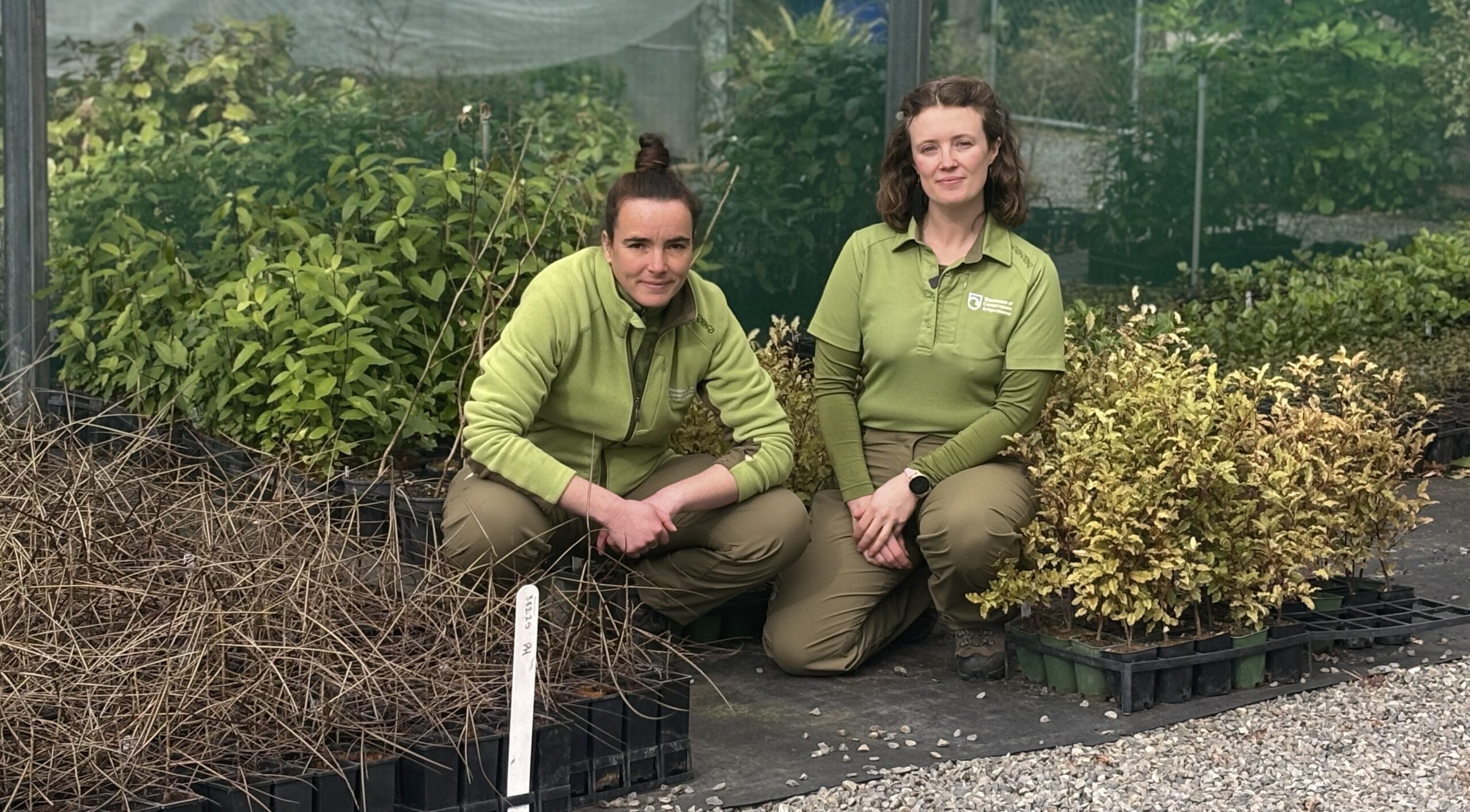 DOC nursery grows ‘superpower’ plants to protect Canterbury from fires and floods