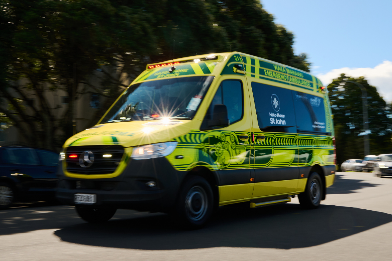 Dog euthanised after attack left young child seriously injured in Aranui