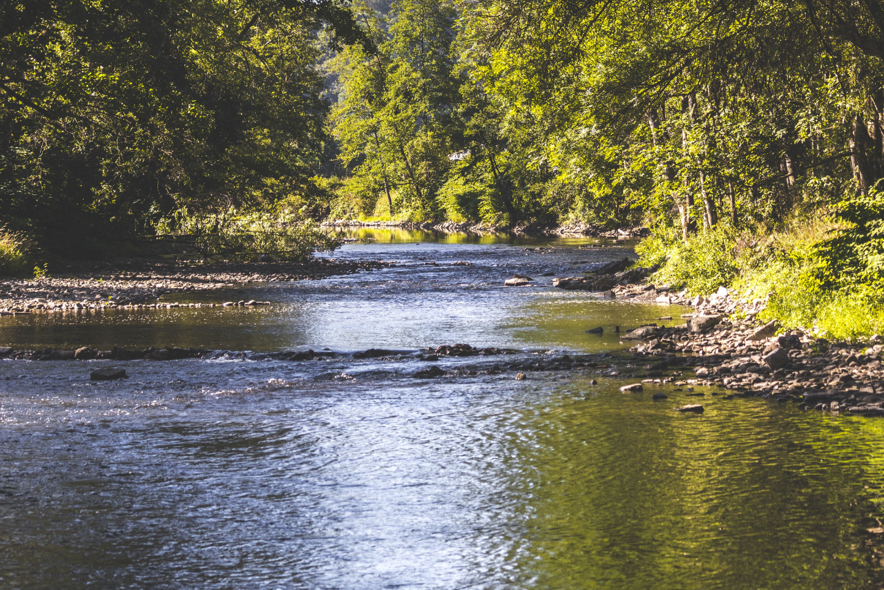 Check before you take the plunge this long weekend
