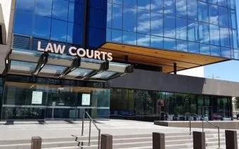 “Morally and legally unacceptable” Mother cow skinned alive on Ashburton farm [CONTENT WARNING]