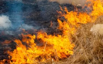 Vegetation fires spread rapidly across Otago and Southland as high winds hit region