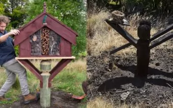 ‘Bug hotel’destroyed by fire angering council ranger staff