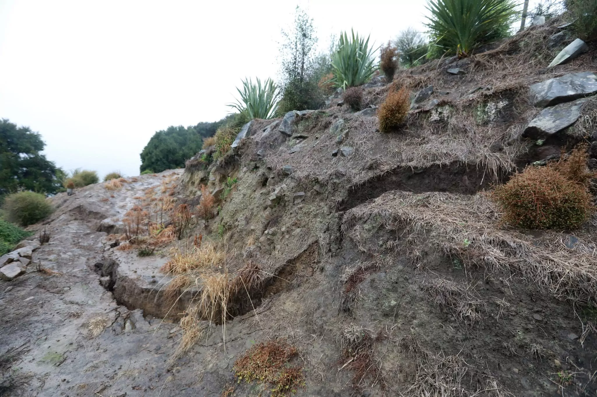 Akaroa property evacuated as precaution over cracks in Lighthouse Road