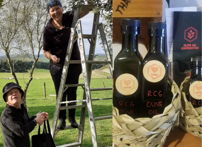 Christchurch community celebrates record olive harvest