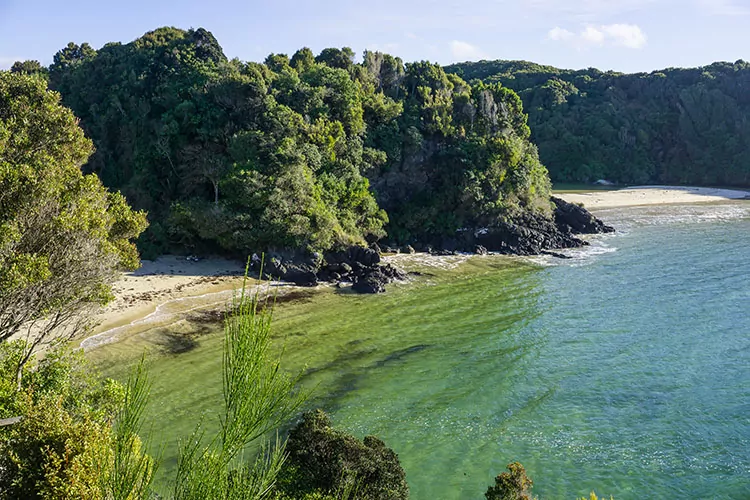Man dies in hunting incident on Stewart Island