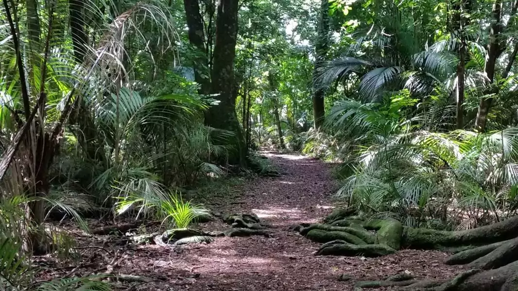 Government announces $22 million boost to protect native wildlife