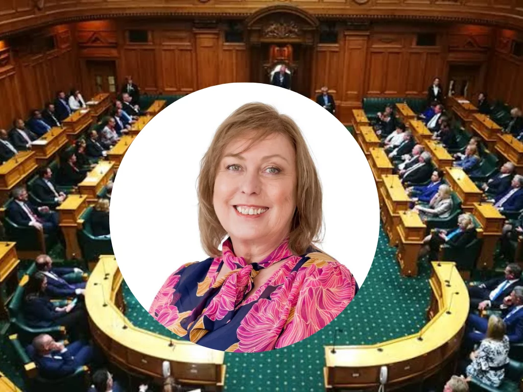 Win for Christchurch MP as family violence bill passes Parliament