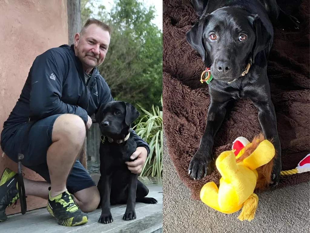 Tributes flow for Piper, the loyal search dog who reunited countless families with their lost dogs
