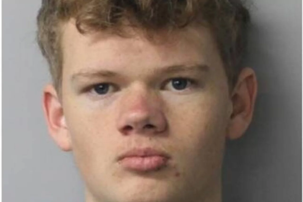 Police appeal for help to find missing teen in Christchurch